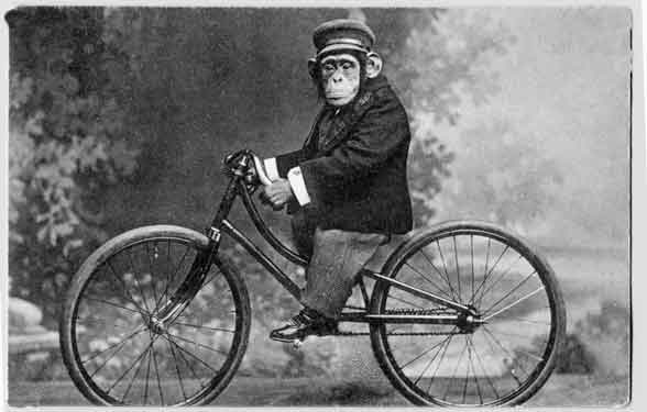 monkey_on_bicycle_vintage_1216757373